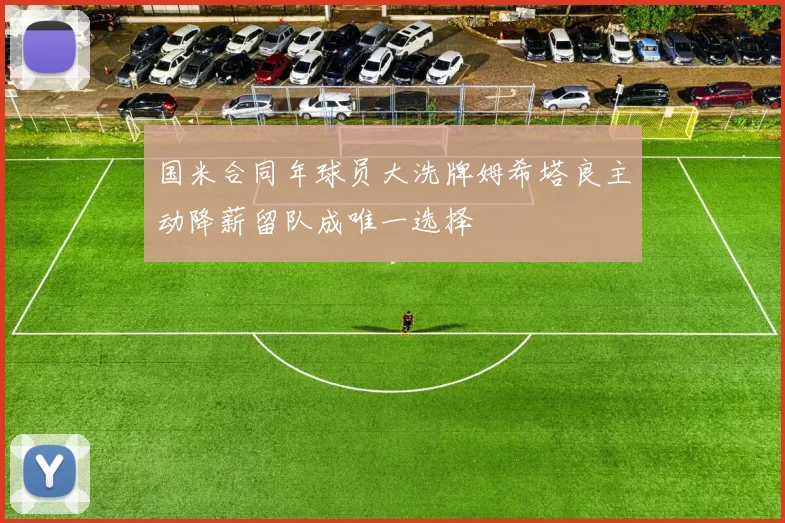 国米合同年球员大洗牌姆希塔良主动降薪留队成唯一选择