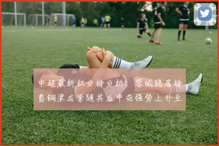 中超最新积分榜分析：蓉城稳居榜首铜梁龙紧随其后申花强势上升至第五位津门虎仍陷负分困境