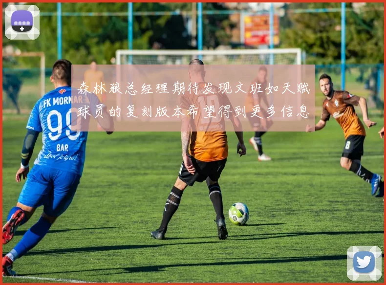 森林狼总经理期待发现文班如天赋球员的复刻版本希望得到更多信息